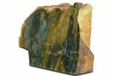 Free-Standing, Gary Green Jasper (Larsonite) Bog Wood - Oregon #334809-1